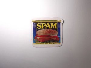 画像1: アメリカンマグネット　SPAM